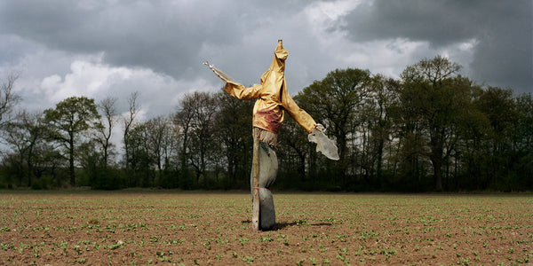 Peter Mitchell's Scarecrows