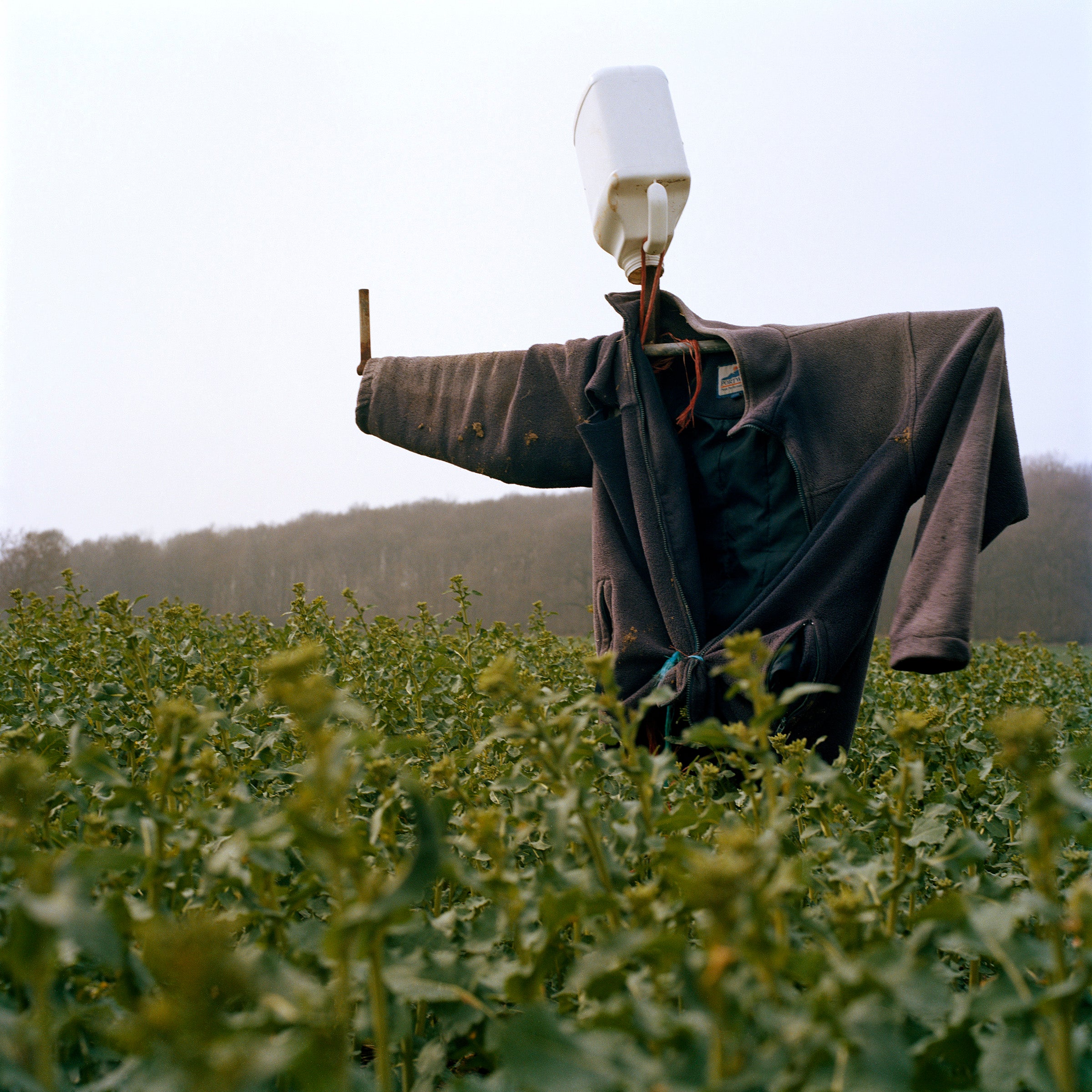 Peter Mitchell - Scarecrows 1974-2015
